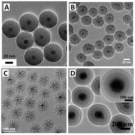 Nanomaterials Free Full Text Iron Oxide Mesoporous Silica Core