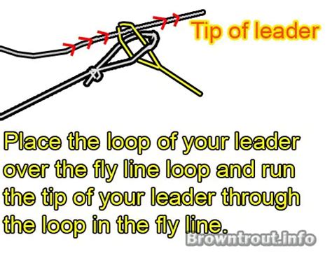 Loop to Loop Knot – Troutster.com – Fly Fishing Tips and Tactics