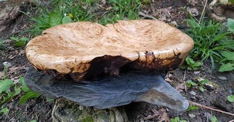 ИЗ-ЗА ЛЕСА ИЗ-ЗА ГОР