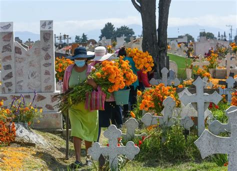 La Jornada Aumenta Xochimilco Producci N De Cempas Chil En Por Ciento