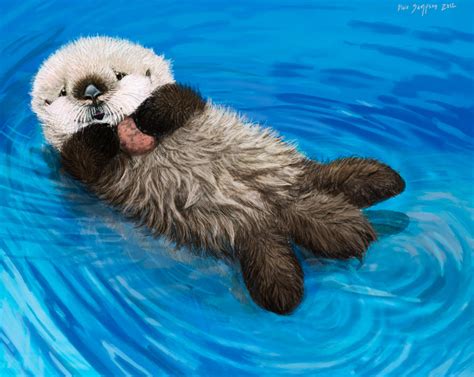 Sea Otter Awareness Week, Newborn Otter Pup by Psithyrus on DeviantArt