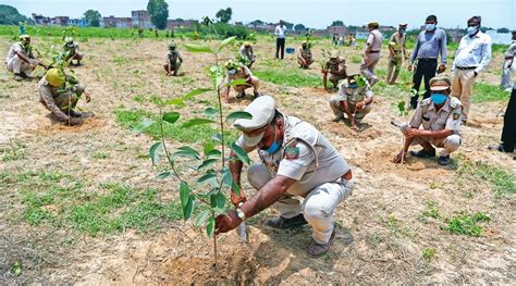 Up Govt Says It Planted 25 Cr Tree Saplings In A Day Hit ‘1 Bn Target