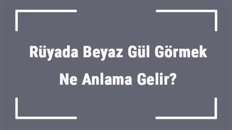 Rüyada Beyaz Gül Görmek Ne Anlama Gelir Rüyada Beyaz Gül Buketi Ve