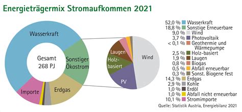 Strom aus Biomasse Österreichischer Biomasseverband