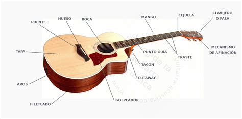 Partes De Una Guitarra Vocabulario Interactivo El Blog De La