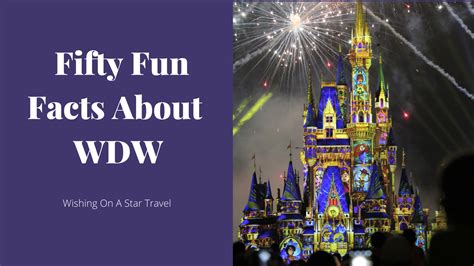 Fifty Fun Facts About Walt Disney World Wishing On A Star Travel