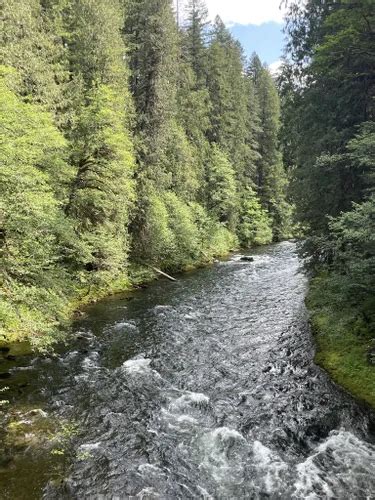 10 Best Easy Trails In Gifford Pinchot National Forest AllTrails