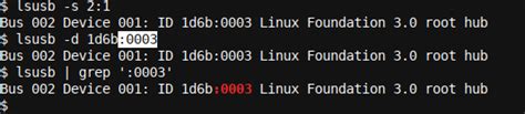 How to Use lsusb in Linux (With a Practical Example)