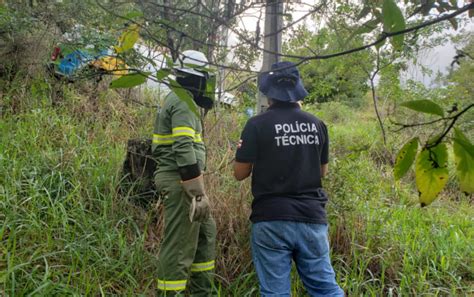 Fazenda Em Alcoba A Autuada Por Furtar Mais De R Mil Em Energia