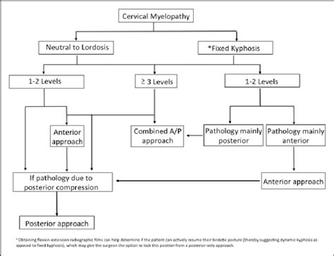 A General Algorithm In The Surgical Approach Of Treating Cervical