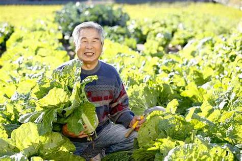 野菜作りに適した時期とは？季節別に紹介！ 農家・農業求人サイト【あぐりナビ】