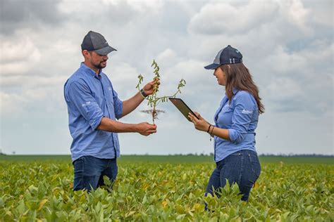 Campo Agropecuario Agrof Rtil Es La Primera Empresa En Paraguay En