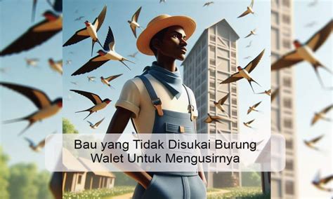 Bau Yang Tidak Disukai Burung Walet Untuk Mengusirnya