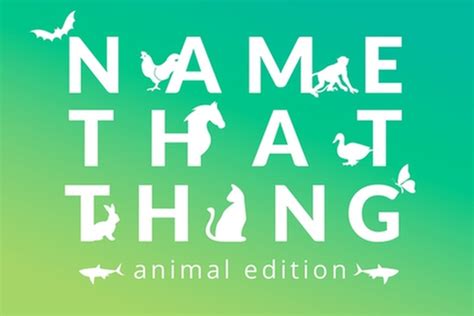 ANIMALS Synonyms: 20 Similar Words | Merriam-Webster Thesaurus