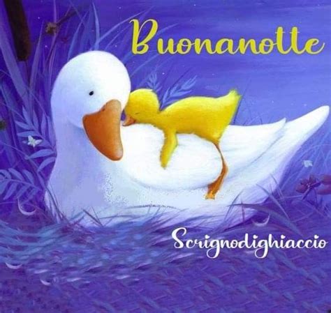 Pin Di ANNA MARIA Su Buona Notte Nel 2024 Immagini Auguri Di Buona