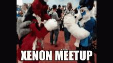 Xenon Furry Xenon Furry Meetup Discover Share GIFs