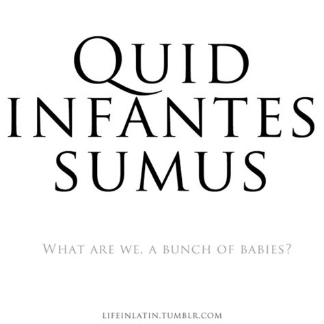 Latin Phrases Translate Lebians Sex