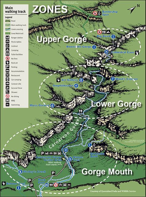 Walks & Sites | Carnarvon Gorge | Australian Nature Guides