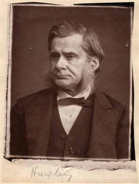 Npg X11997 Thomas Henry Huxley Portrait National Portrait Gallery