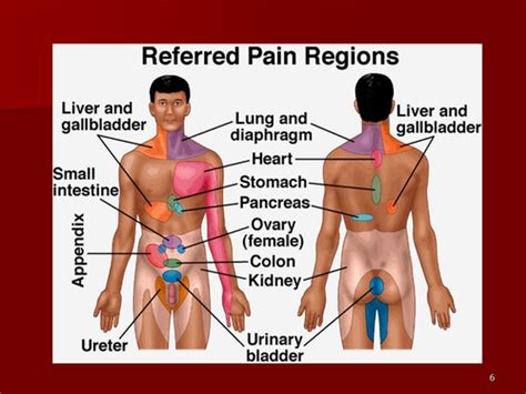 Pain Flashcards Quizlet