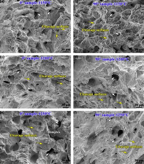 The Fracture Morphologies Of The A C E 0° And B D F 90° Samples A