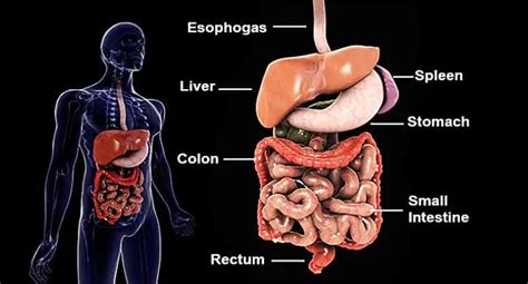 Ulcerative Colitis Surgery What To Expect