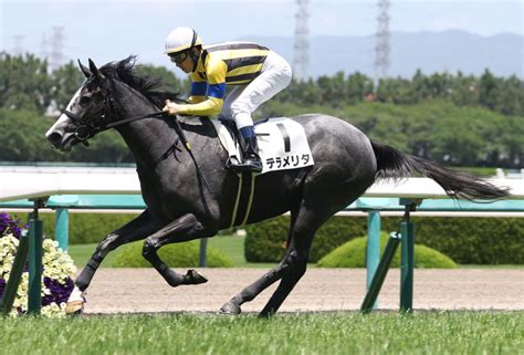 【新馬東京5r】東の1番星はシュトラウス馬なりで9馬身差v 競馬ニュースなら競馬のおはなし