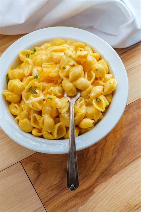 Shell Macaroni and Cheese stock photo. Image of ingredient - 43819128