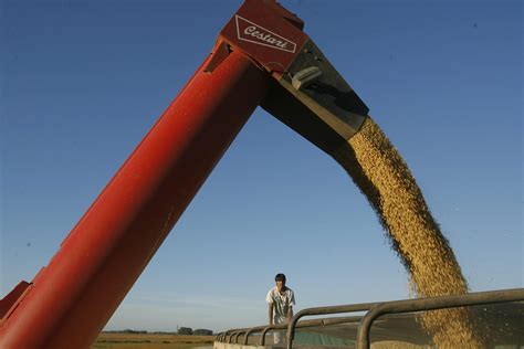 Cuáles Fueron Los 5 Mayores Aportes Que Realizó La Cadena Agroindustrial En El Año De La