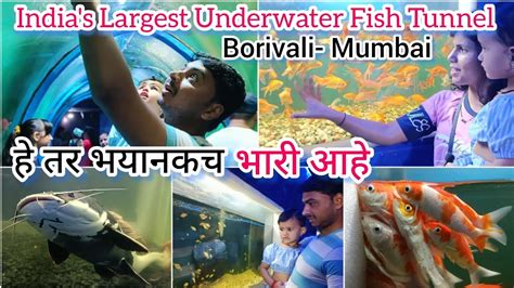 Fish Aquarium Borivali