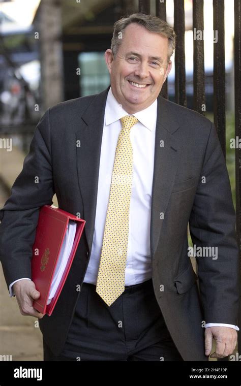 International Trade Secretary Liam Fox Arriving At Downing Street