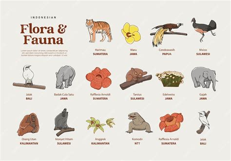 Premium Vector Isolated Hand Drawn Various Indonesian Flora And Fauna