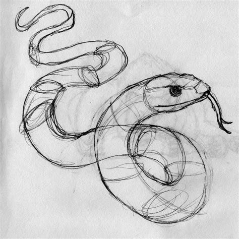 CR Snake Sketch by Kalina1176 on DeviantArt | Snake sketch, Snake art ...