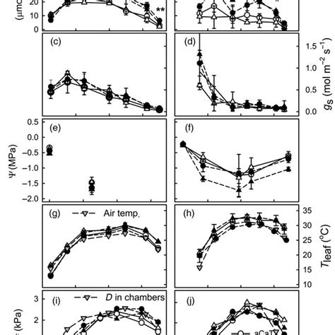 Diurnal Courses Of Leaf Level Net Co 2 Assimilation A Net A And B