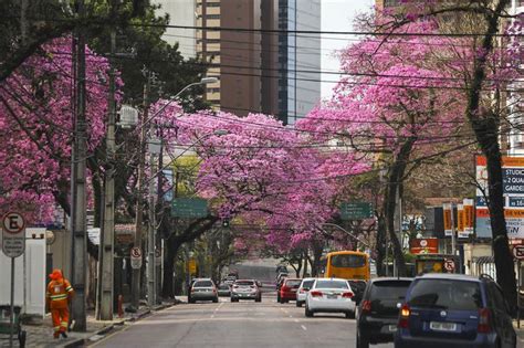 Prefeitura De Curitiba Vai Iniciar Processo De Cassa O Do Alvar De