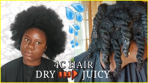 Moisturizing Thick Dry High Porosity High Density 4c Natural Hair Growth And Length