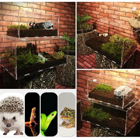 Transparent Reptile Breeding Box The Lazy Pot