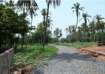 Residential Land Plot For Sale In Sreerosh Best Plots Thazhe Chovva