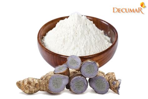 Nghệ Vàng Và Nghệ đen Cái Nào Tốt Hơn Decumar