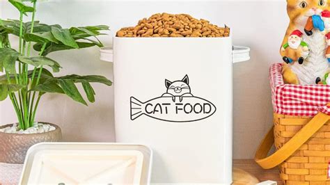 Top 5 Best Cat Food Storage Containers In 2024