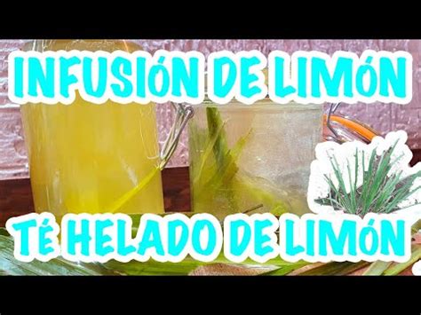 Infusi N De Limoncillo Zorra De Lim N Youtube