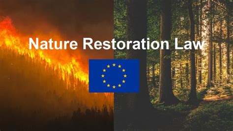 Legge Sul Ripristino Della Natura Approvata Dal Parlamento Ue