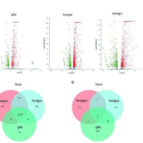 Identification And Analysis Of Differentially Expressed Genes Degs