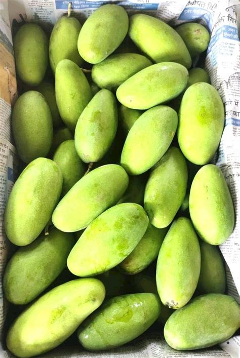 Green Organic Malihabadi Dashehari Mango Kg Box Packaging Type