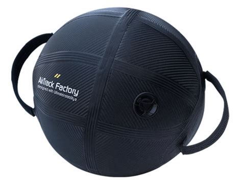 Aqualine Aquaball M (Black) | Dynamic Aquatic Fitness Tool