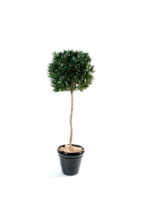 Artificial 150cm Uv Protected Bay Ball Tree