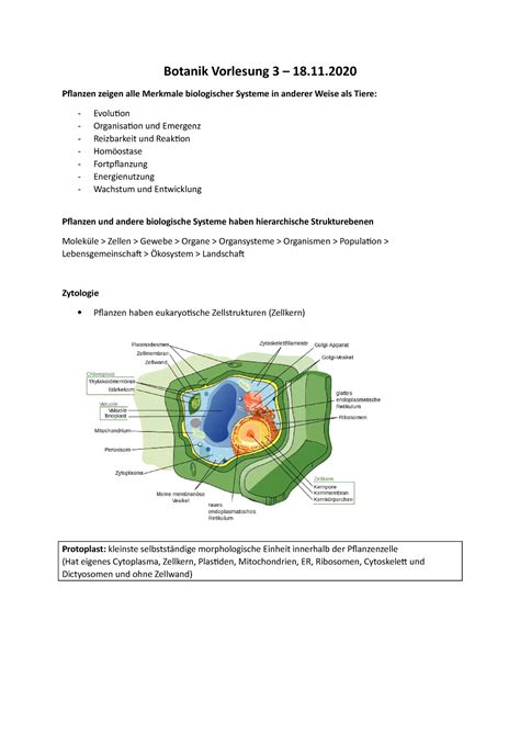 Botanik VL 3 Vorlesungsnotizen 3 Einführung in Allgemeine