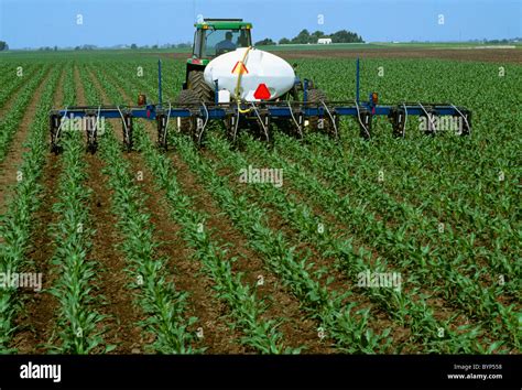 Agriculture Chemical Application Side Dressing Early Growth Corn