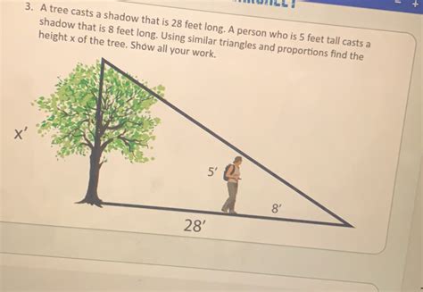 Solved A Tree Casts A Shadow That Is Feet Long A Person Who Is