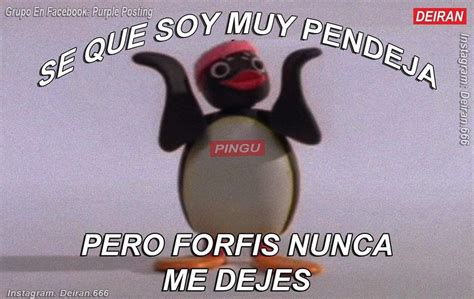 Pin De Zia Van Houten En Pingu Frases Memes Románticos Frases Perronas Memes Divertidos